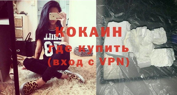 mdpv Бородино