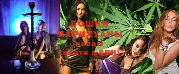 mdpv Бородино