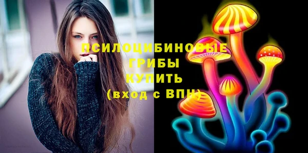 mdpv Бородино